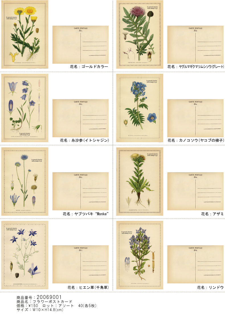 フラワーポストカード
