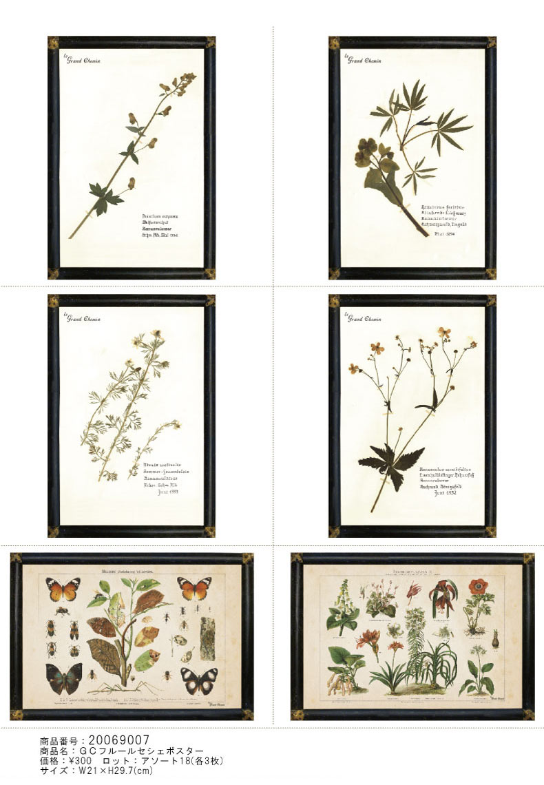 フルールセシュポスター