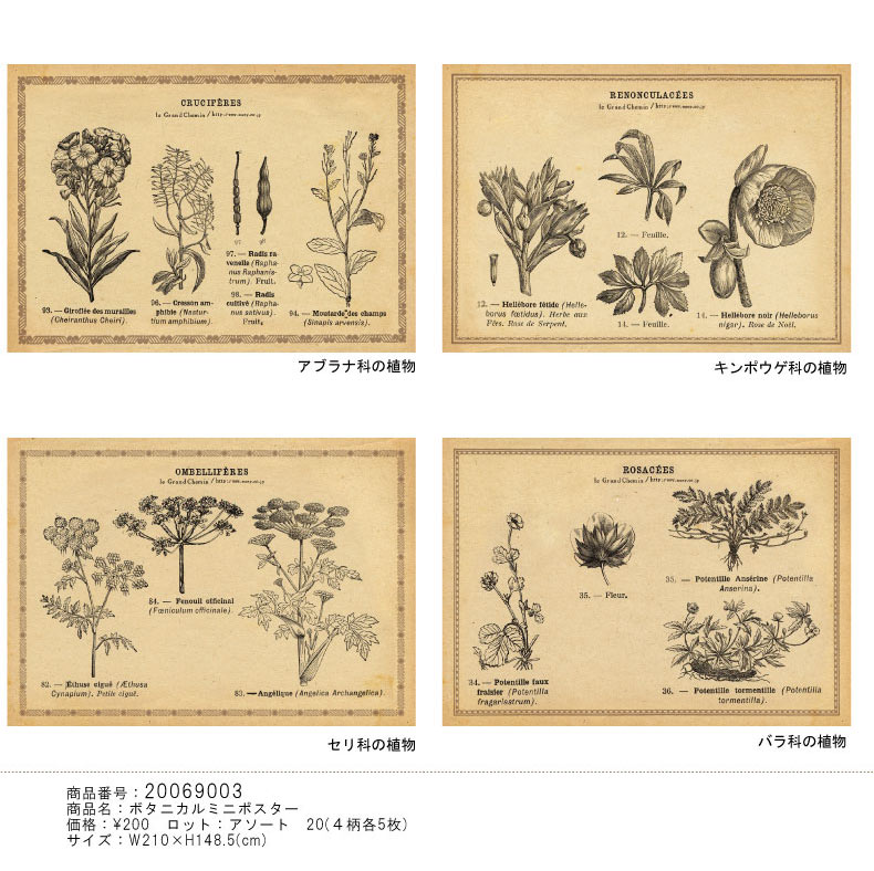ボタニカルポスター