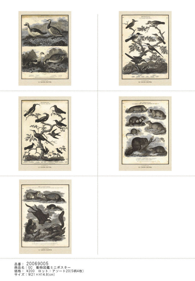 動物図鑑ミニポスター