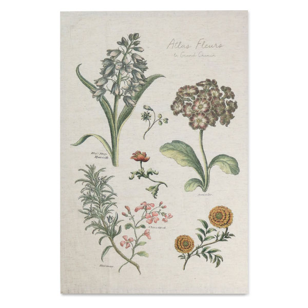 アトラスフルールトーション02